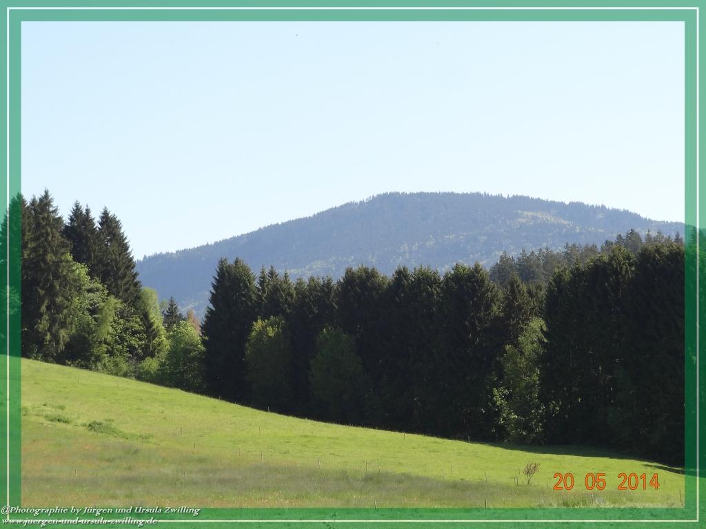 Philosophische Bildwanderung Premiumwanderweg Schachtenbach (Hennenkobel) - Wanderung - Bayrischer Wald