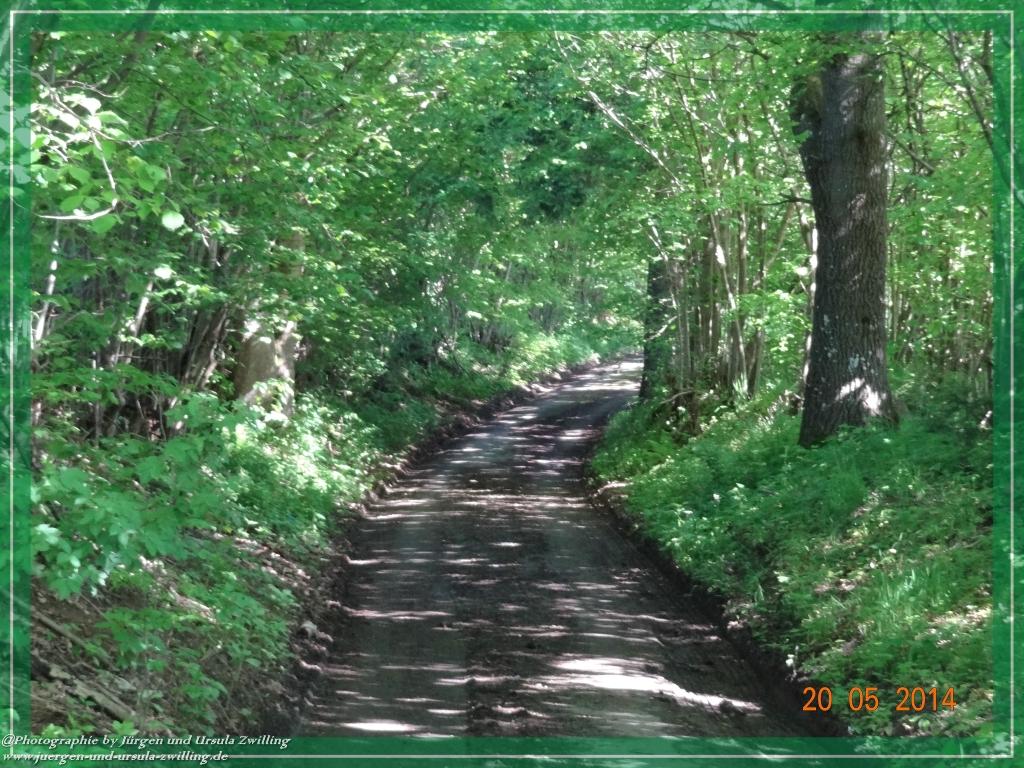 Philosophische Bildwanderung Premiumwanderweg Schachtenbach (Hennenkobel) - Wanderung - Bayrischer Wald
