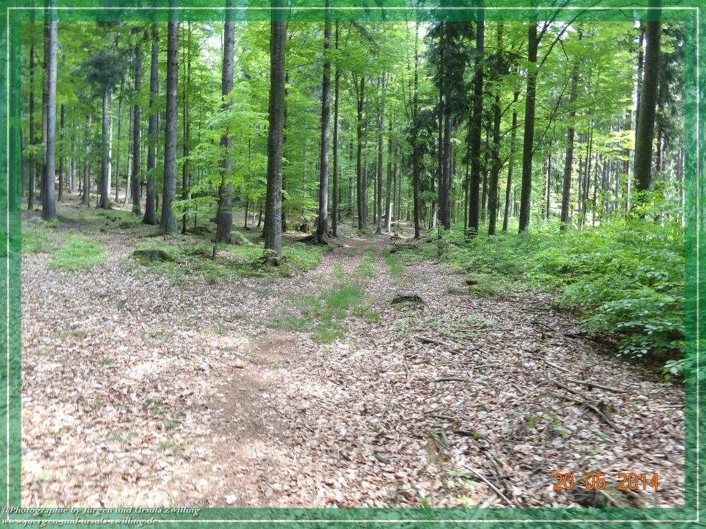 Philosophische Bildwanderung Premiumwanderweg Schachtenbach (Hennenkobel) - Wanderung - Bayrischer Wald
