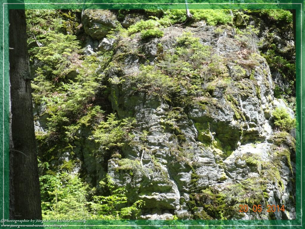 Philosophische Bildwanderung Premiumwanderweg Schachtenbach (Hennenkobel) - Wanderung - Bayrischer Wald