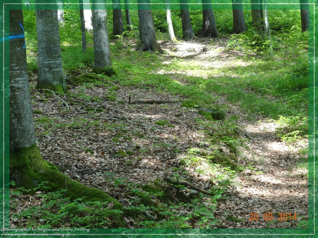 Philosophische Bildwanderung Premiumwanderweg Schachtenbach (Hennenkobel) - Wanderung - Bayrischer Wald