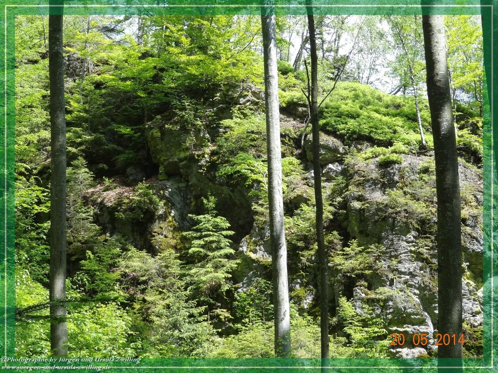Philosophische Bildwanderung Premiumwanderweg Schachtenbach (Hennenkobel) - Wanderung - Bayrischer Wald