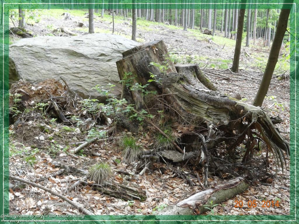 Philosophische Bildwanderung Premiumwanderweg Schachtenbach (Hennenkobel) - Wanderung - Bayrischer Wald