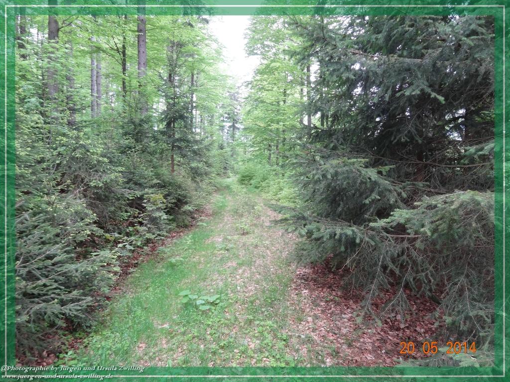 Philosophische Bildwanderung Premiumwanderweg Schachtenbach (Hennenkobel) - Wanderung - Bayrischer Wald