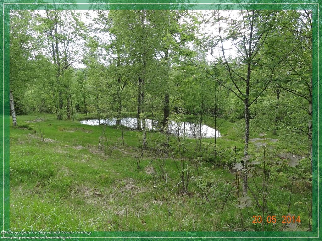 Philosophische Bildwanderung Premiumwanderweg Schachtenbach (Hennenkobel) - Wanderung - Bayrischer Wald