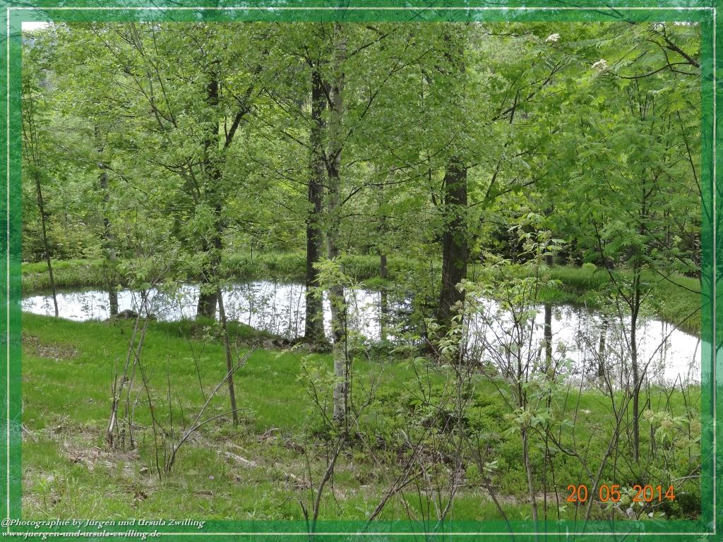 Philosophische Bildwanderung Premiumwanderweg Schachtenbach (Hennenkobel) - Wanderung - Bayrischer Wald