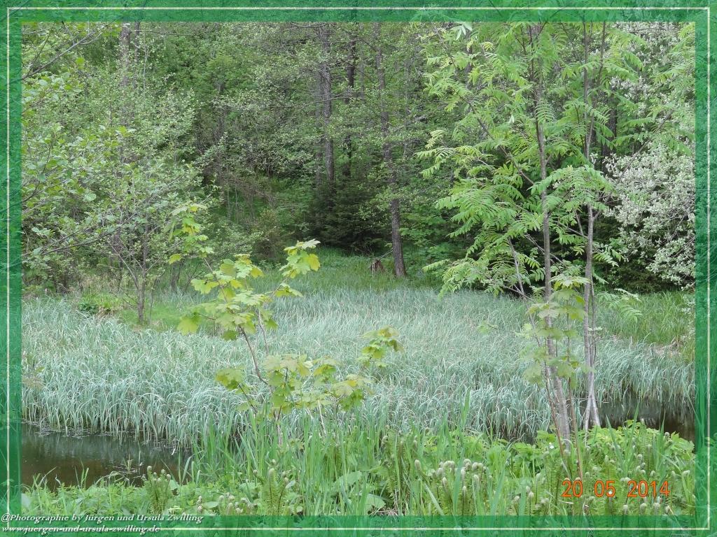 Philosophische Bildwanderung Premiumwanderweg Schachtenbach (Hennenkobel) - Wanderung - Bayrischer Wald