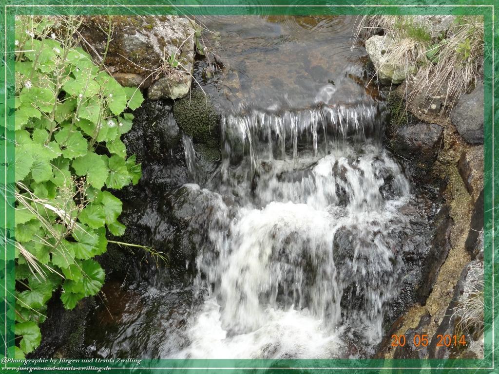Philosophische Bildwanderung Premiumwanderweg Schachtenbach (Hennenkobel) - Wanderung - Bayrischer Wald