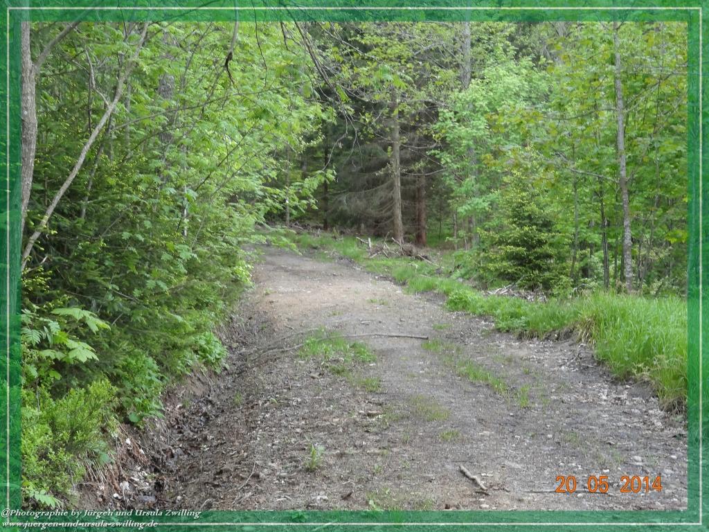 Philosophische Bildwanderung Premiumwanderweg Schachtenbach (Hennenkobel) - Wanderung - Bayrischer Wald