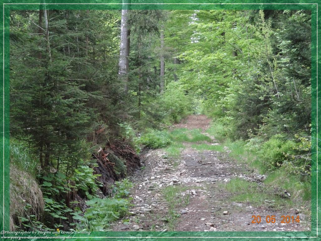 Philosophische Bildwanderung Premiumwanderweg Schachtenbach (Hennenkobel) - Wanderung - Bayrischer Wald