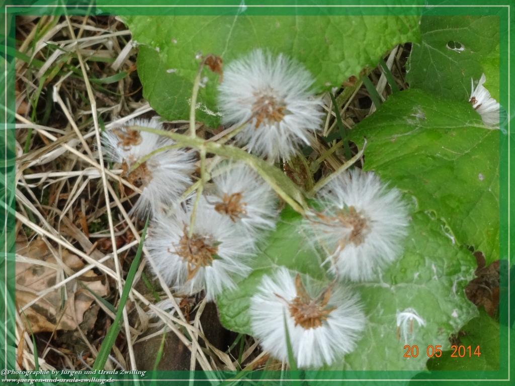 Philosophische Bildwanderung Premiumwanderweg Schachtenbach (Hennenkobel) - Wanderung - Bayrischer Wald