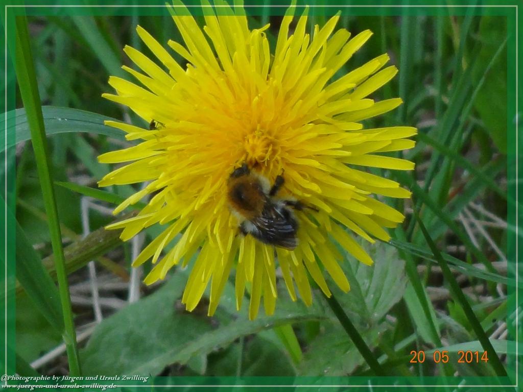 Philosophische Bildwanderung Premiumwanderweg Schachtenbach (Hennenkobel) - Wanderung - Bayrischer Wald