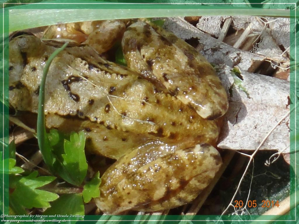 Philosophische Bildwanderung Premiumwanderweg Schachtenbach (Hennenkobel) - Wanderung - Bayrischer Wald