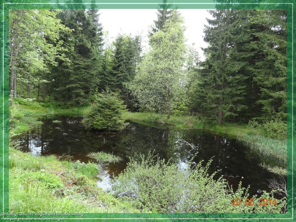 Philosophische Bildwanderung Premiumwanderweg Schachtenbach (Hennenkobel) - Wanderung - Bayrischer Wald