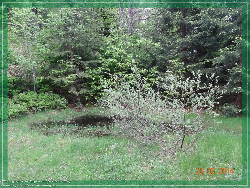 Philosophische Bildwanderung Premiumwanderweg Schachtenbach (Hennenkobel) - Wanderung - Bayrischer Wald