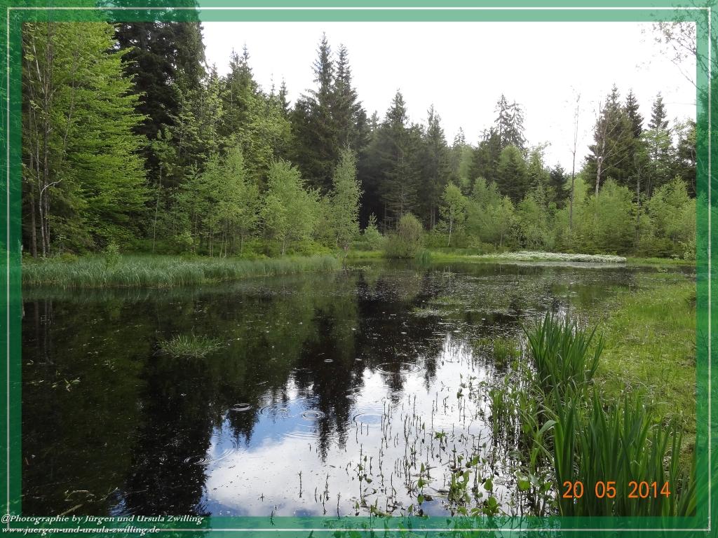 Philosophische Bildwanderung Premiumwanderweg Schachtenbach (Hennenkobel) - Wanderung - Bayrischer Wald