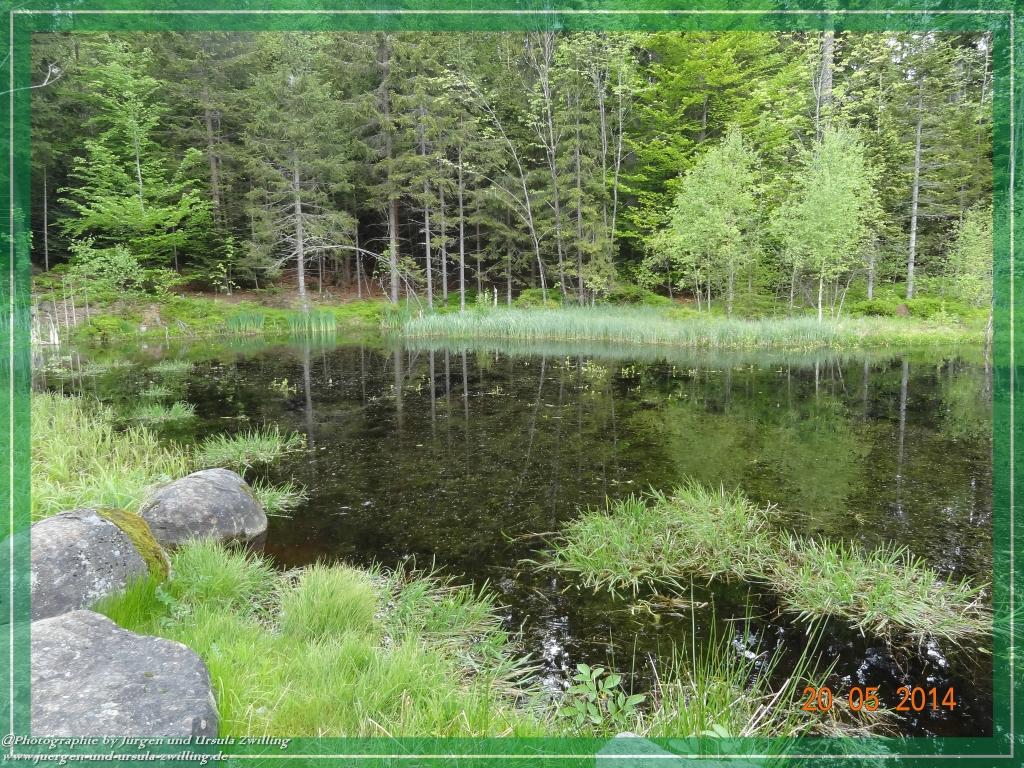 Philosophische Bildwanderung Premiumwanderweg Schachtenbach (Hennenkobel) - Wanderung - Bayrischer Wald