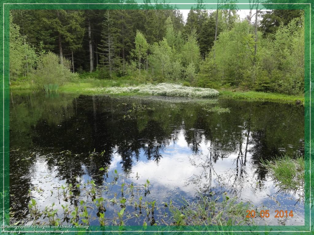 Philosophische Bildwanderung Premiumwanderweg Schachtenbach (Hennenkobel) - Wanderung - Bayrischer Wald