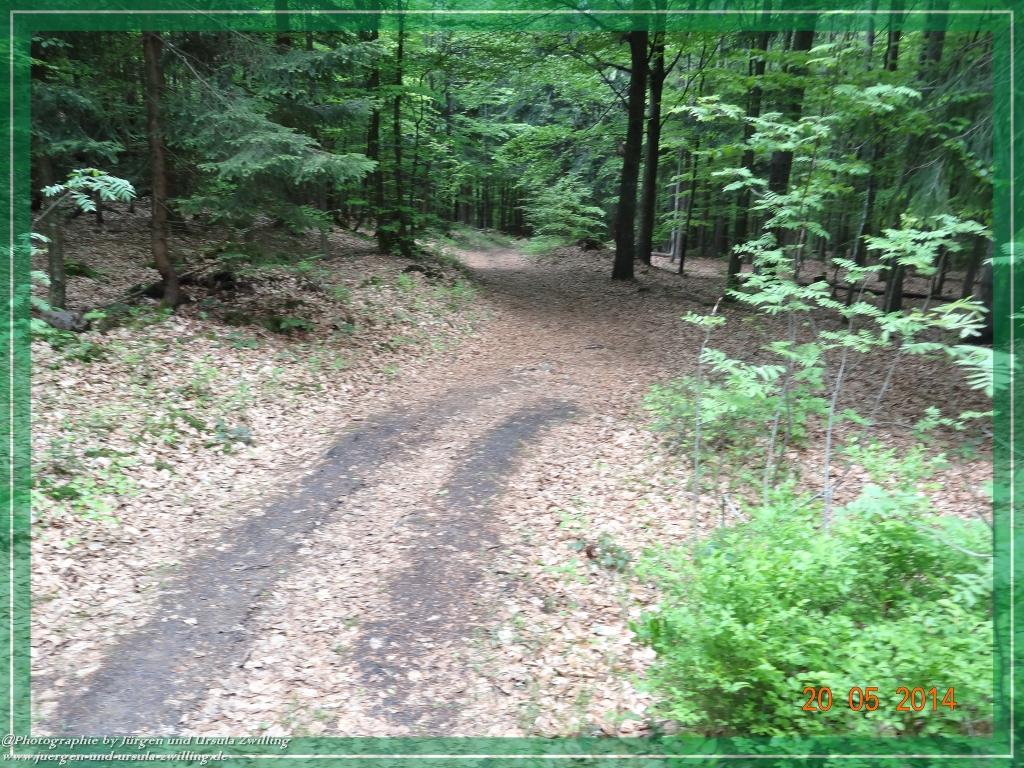 Philosophische Bildwanderung Premiumwanderweg Schachtenbach (Hennenkobel) - Wanderung - Bayrischer Wald