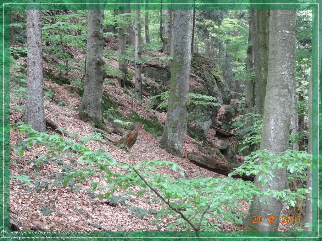 Philosophische Bildwanderung Premiumwanderweg Schachtenbach (Hennenkobel) - Wanderung - Bayrischer Wald