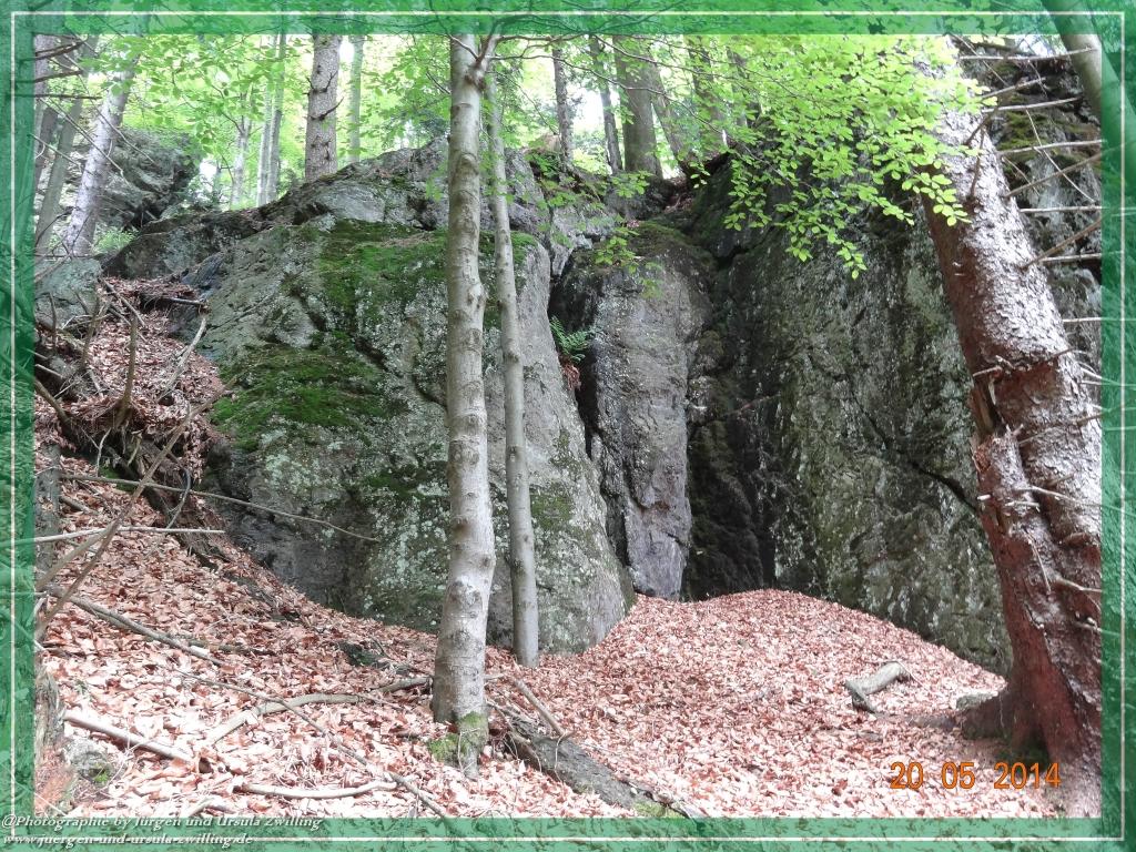 Philosophische Bildwanderung Premiumwanderweg Schachtenbach (Hennenkobel) - Wanderung - Bayrischer Wald