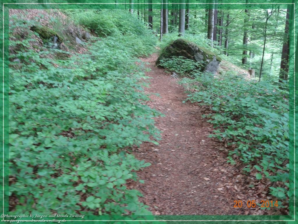 Philosophische Bildwanderung Premiumwanderweg Schachtenbach (Hennenkobel) - Wanderung - Bayrischer Wald