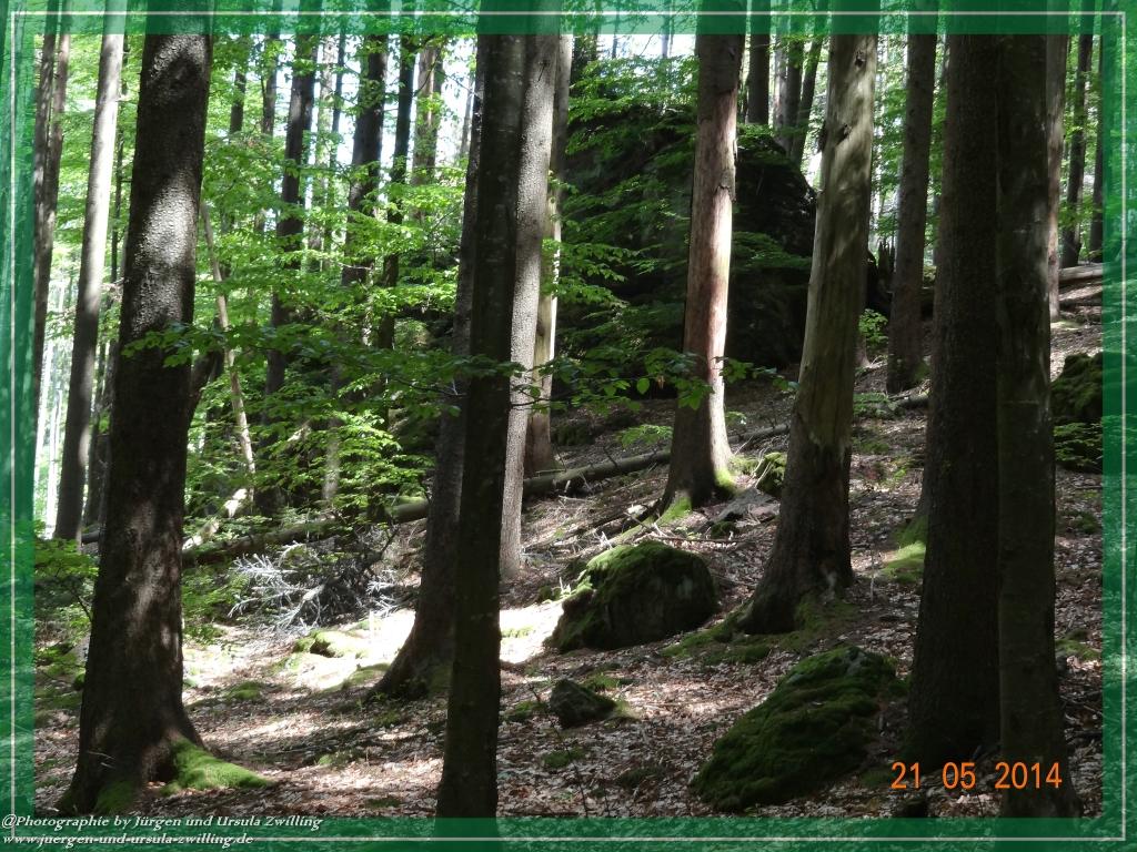 Philosophische Bildwanderung Über den Falkenstein im Bayerischen Wald