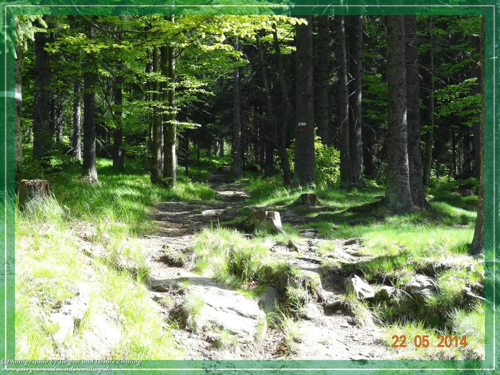 Philosophische Bildwanderung Zwercheck Osser –Bayerischer Wald – Deutsch –Tschechische- Grenzwanderung