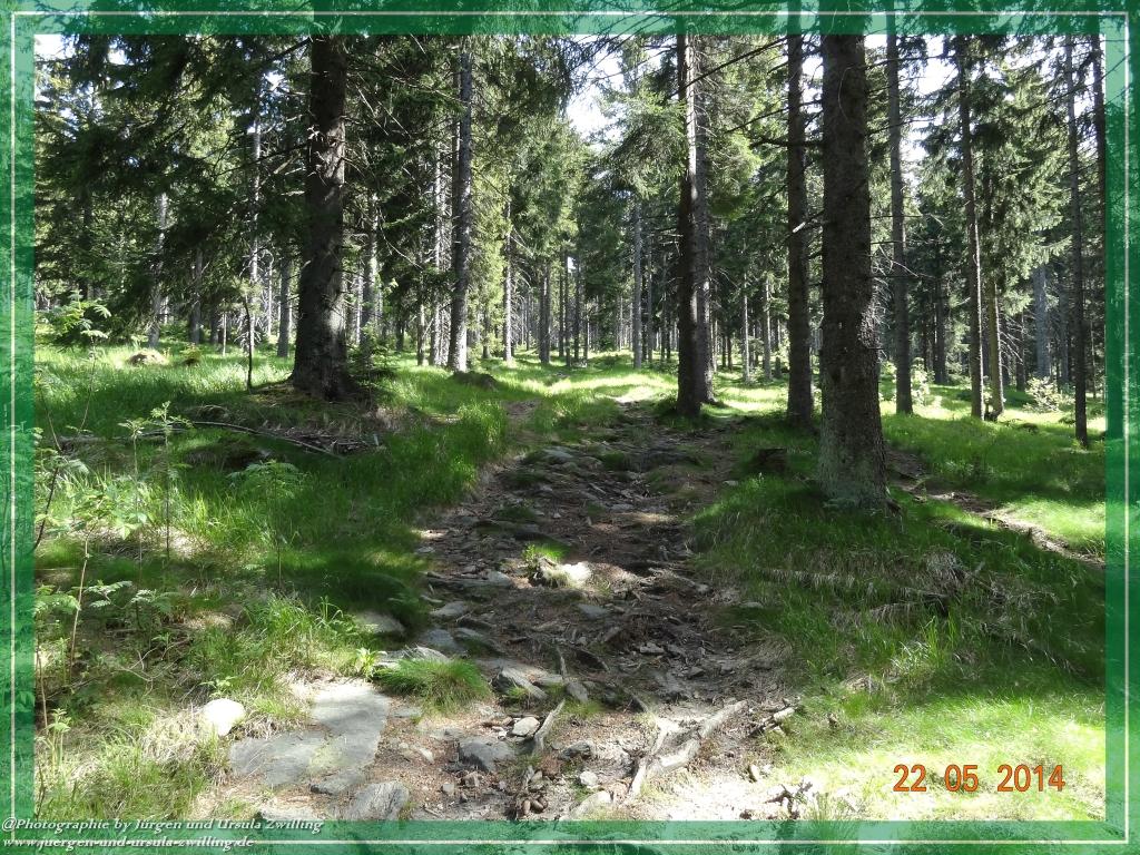 Philosophische Bildwanderung Zwercheck Osser –Bayerischer Wald – Deutsch –Tschechische- Grenzwanderung