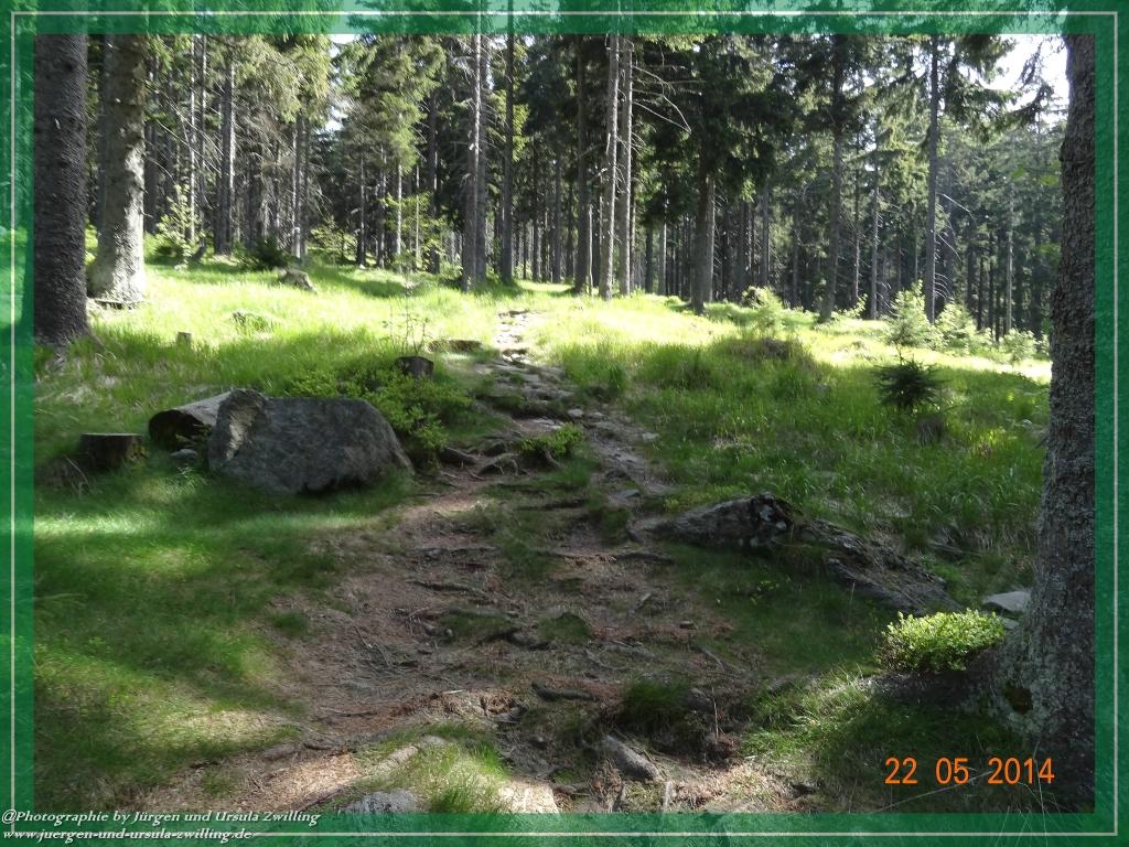 Philosophische Bildwanderung Zwercheck Osser –Bayerischer Wald – Deutsch –Tschechische- Grenzwanderung