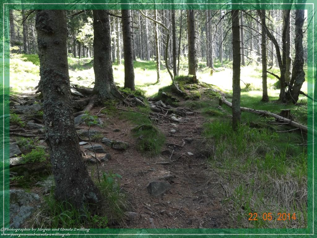 Philosophische Bildwanderung Zwercheck Osser –Bayerischer Wald – Deutsch –Tschechische- Grenzwanderung