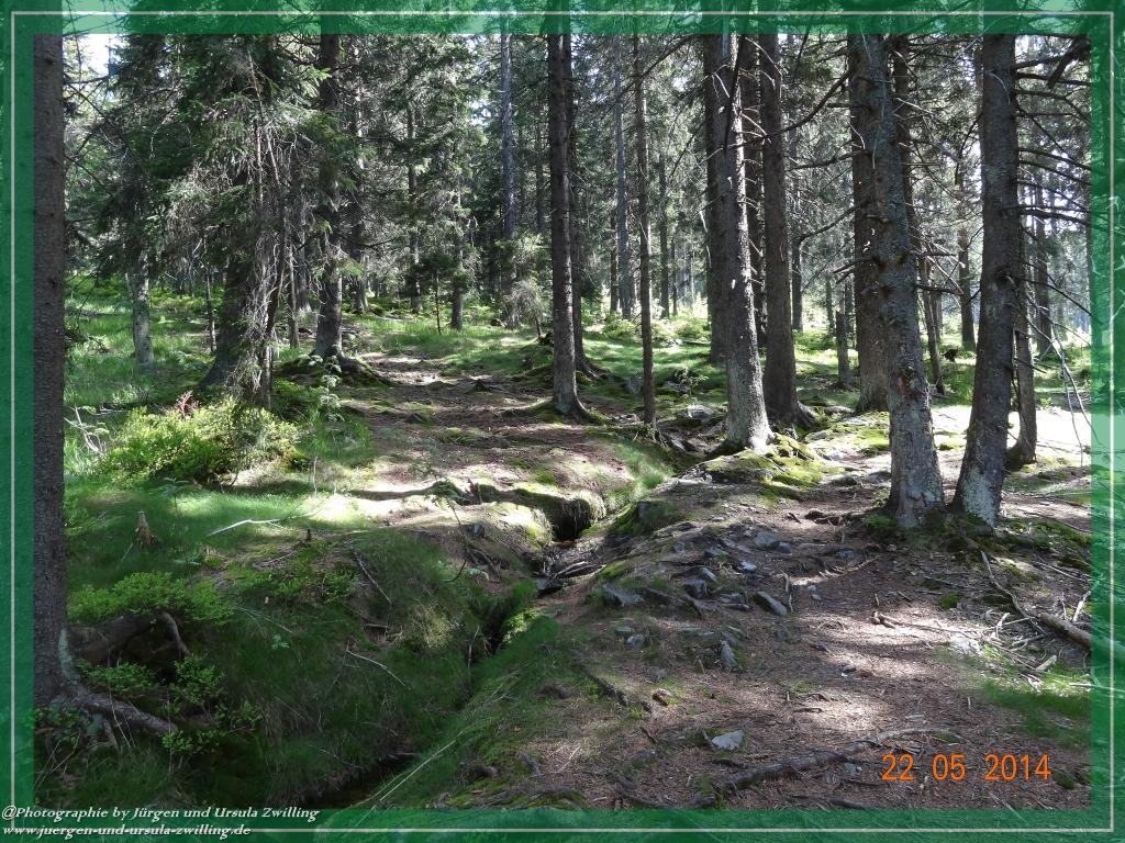 Philosophische Bildwanderung Zwercheck Osser –Bayerischer Wald – Deutsch –Tschechische- Grenzwanderung