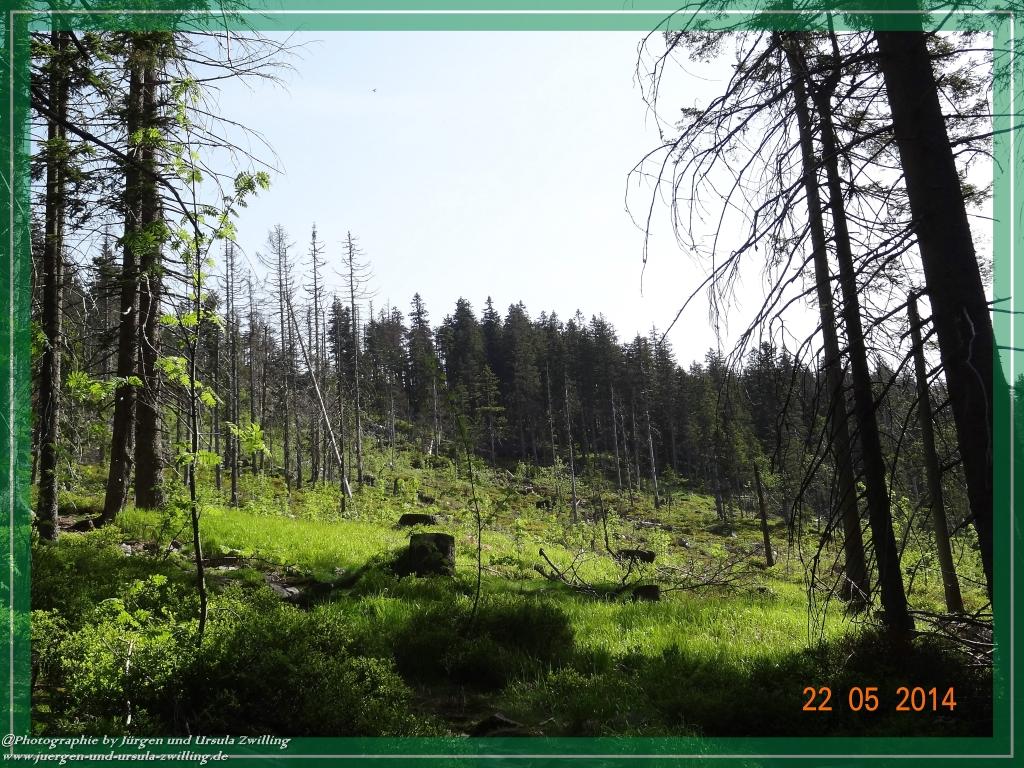 Philosophische Bildwanderung Zwercheck Osser –Bayerischer Wald – Deutsch –Tschechische- Grenzwanderung