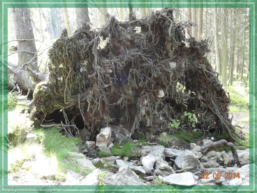 Philosophische Bildwanderung Zwercheck Osser –Bayerischer Wald – Deutsch –Tschechische- Grenzwanderung