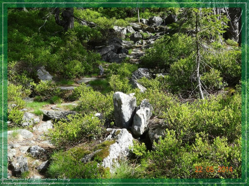 Philosophische Bildwanderung Zwercheck Osser –Bayerischer Wald – Deutsch –Tschechische- Grenzwanderung