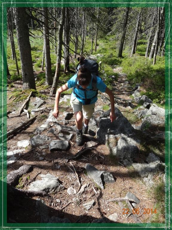 Philosophische Bildwanderung Zwercheck Osser –Bayerischer Wald – Deutsch –Tschechische- Grenzwanderung