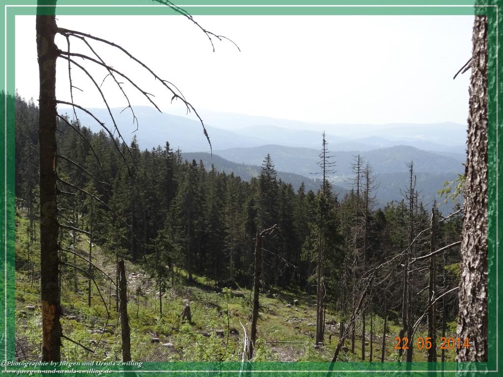 Philosophische Bildwanderung Zwercheck Osser –Bayerischer Wald – Deutsch –Tschechische- Grenzwanderung