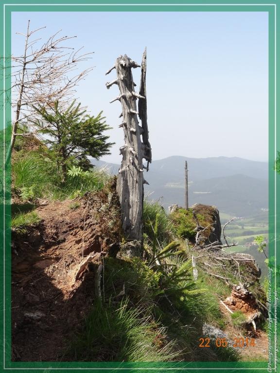 Philosophische Bildwanderung Zwercheck Osser –Bayerischer Wald – Deutsch –Tschechische- Grenzwanderung