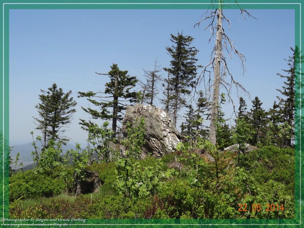 Philosophische Bildwanderung Zwercheck Osser –Bayerischer Wald – Deutsch –Tschechische- Grenzwanderung