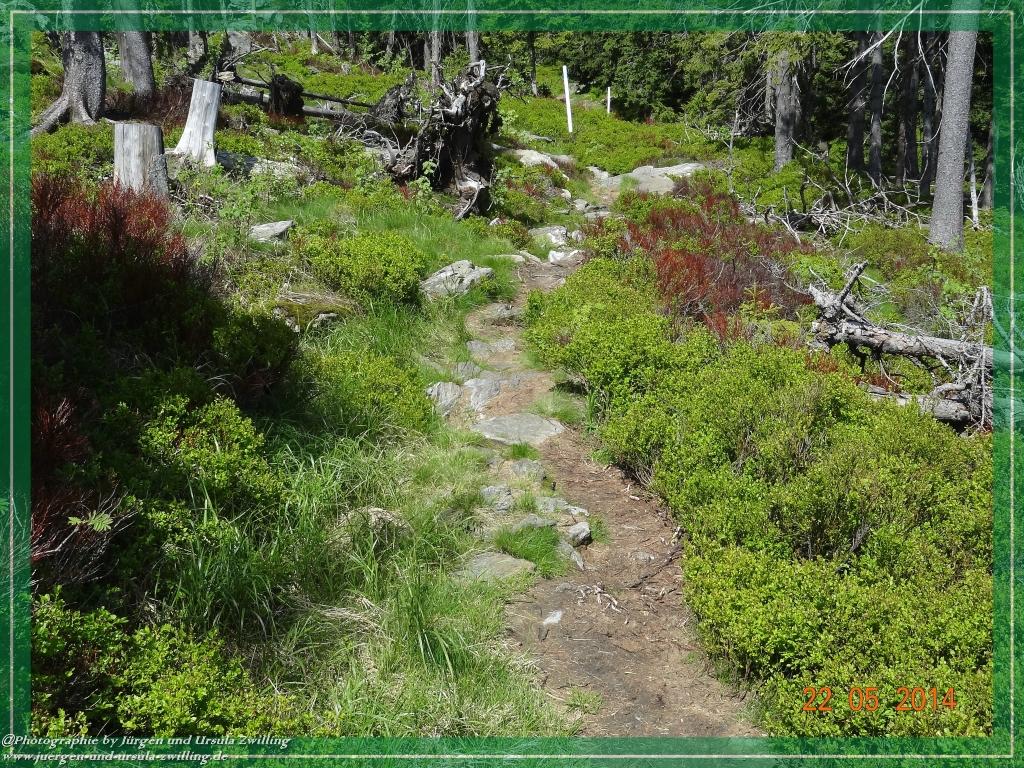 Philosophische Bildwanderung Zwercheck Osser –Bayerischer Wald – Deutsch –Tschechische- Grenzwanderung