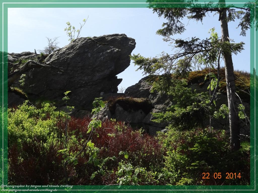 Philosophische Bildwanderung Zwercheck Osser –Bayerischer Wald – Deutsch –Tschechische- Grenzwanderung