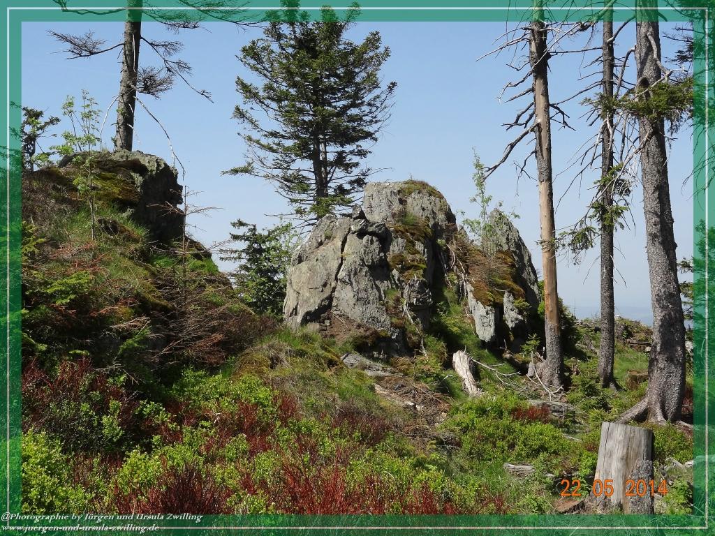 Philosophische Bildwanderung Zwercheck Osser –Bayerischer Wald – Deutsch –Tschechische- Grenzwanderung