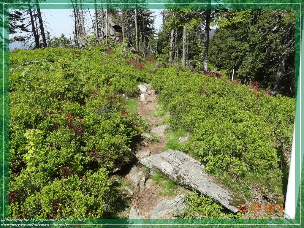 Philosophische Bildwanderung Zwercheck Osser –Bayerischer Wald – Deutsch –Tschechische- Grenzwanderung