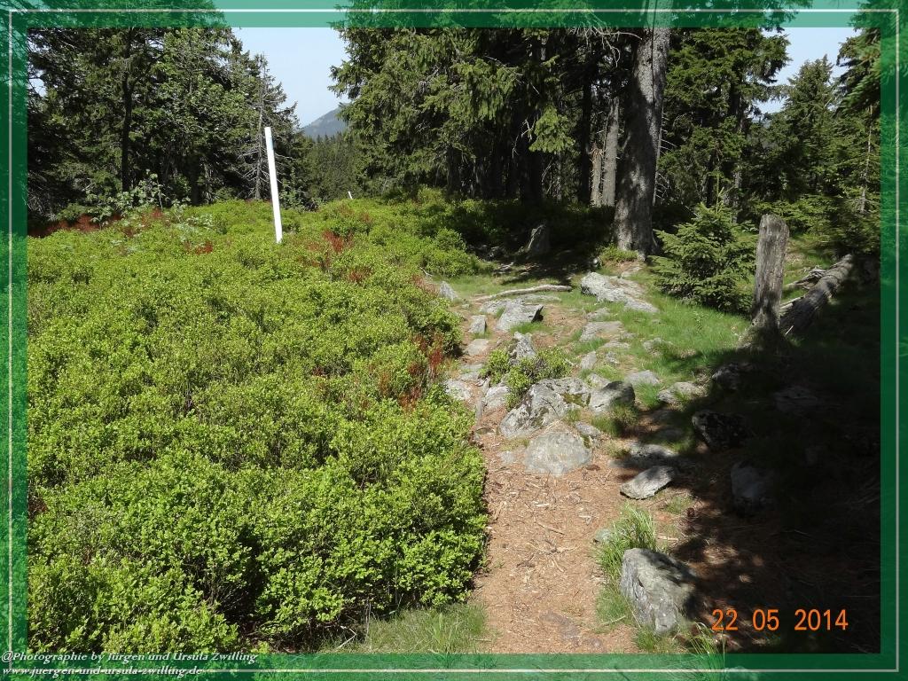 Philosophische Bildwanderung Zwercheck Osser –Bayerischer Wald – Deutsch –Tschechische- Grenzwanderung