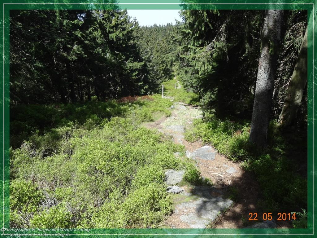 Philosophische Bildwanderung Zwercheck Osser –Bayerischer Wald – Deutsch –Tschechische- Grenzwanderung