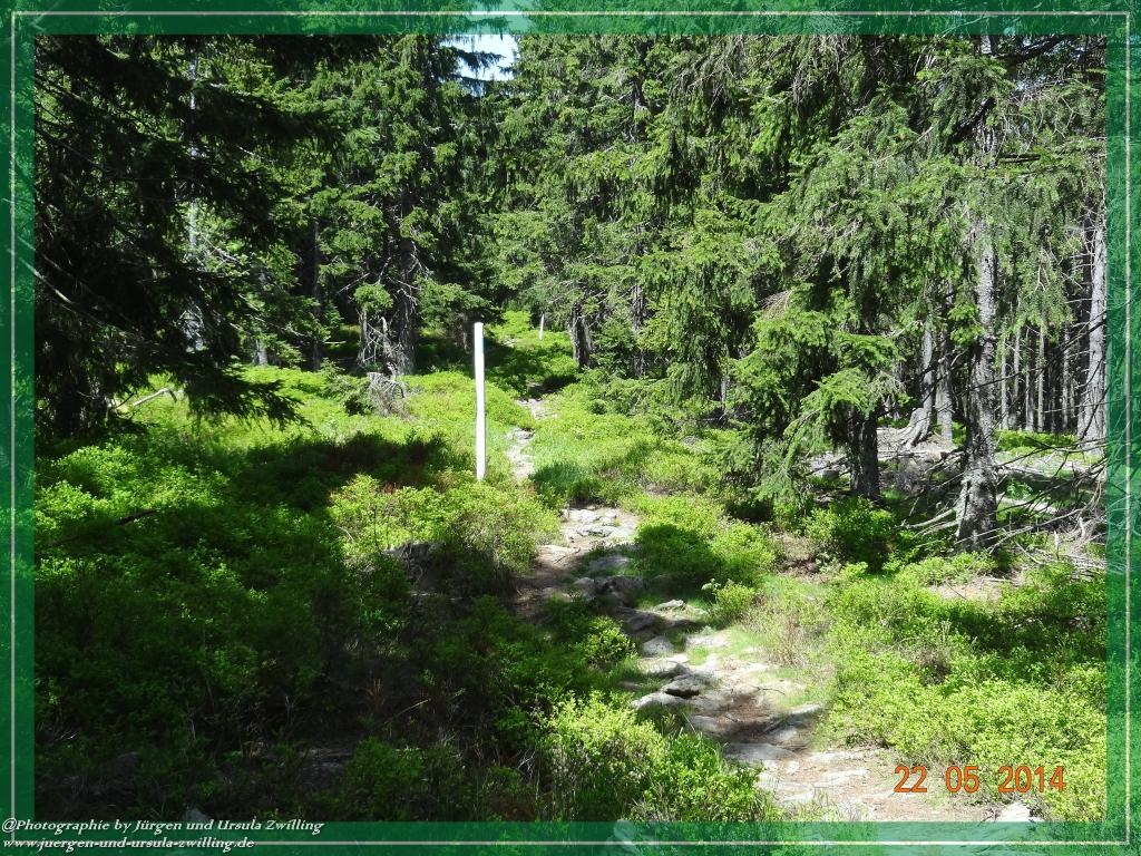 Philosophische Bildwanderung Zwercheck Osser –Bayerischer Wald – Deutsch –Tschechische- Grenzwanderung