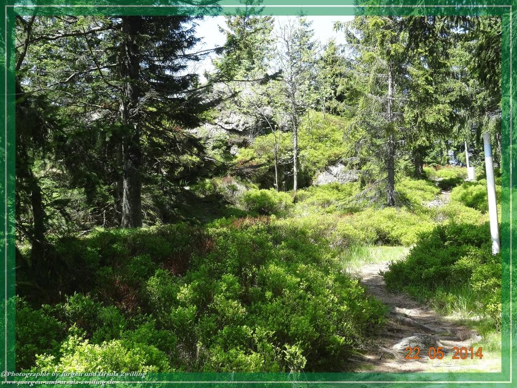 Philosophische Bildwanderung Zwercheck Osser –Bayerischer Wald – Deutsch –Tschechische- Grenzwanderung