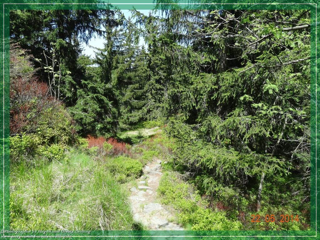 Philosophische Bildwanderung Zwercheck Osser –Bayerischer Wald – Deutsch –Tschechische- Grenzwanderung