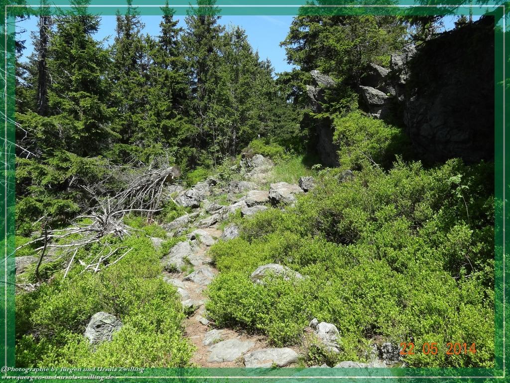 Philosophische Bildwanderung Zwercheck Osser –Bayerischer Wald – Deutsch –Tschechische- Grenzwanderung