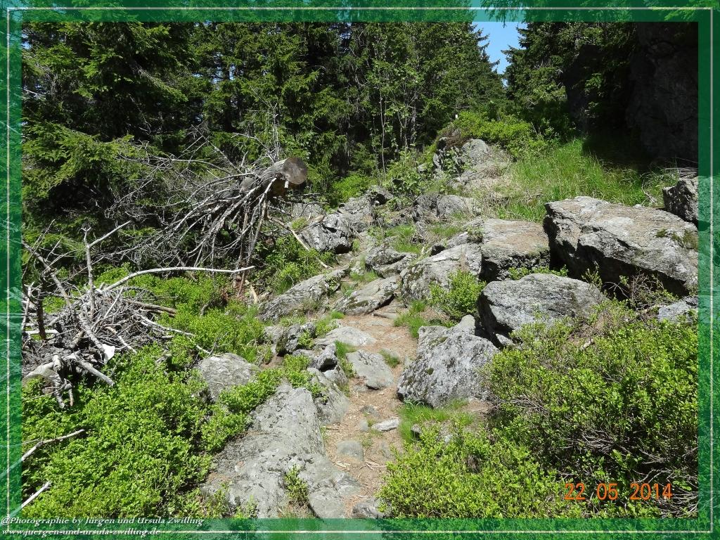 Philosophische Bildwanderung Zwercheck Osser –Bayerischer Wald – Deutsch –Tschechische- Grenzwanderung